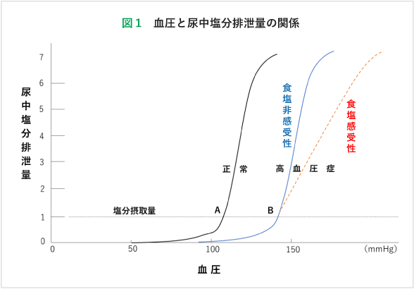 シダキュアについて