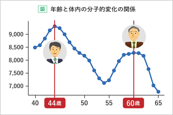 年齢と有意な分子数の関係